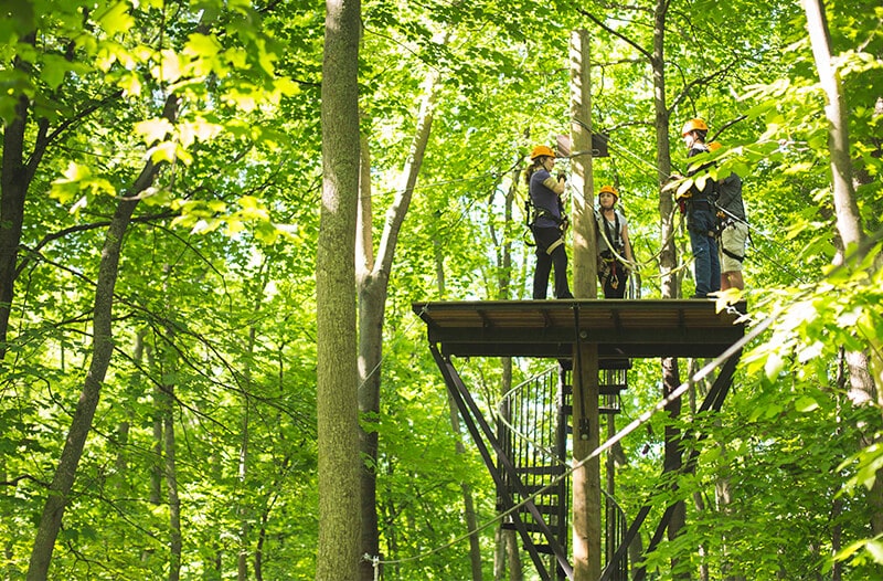 Four zipliners stand on the spiral stair case platform