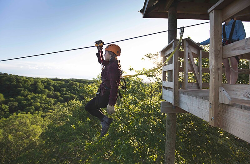Zipper leaves the town on the kerfoot canopy tour